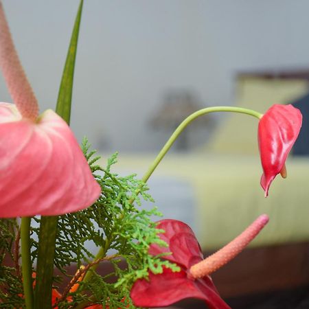 Senu Homestay 시기리야 외부 사진