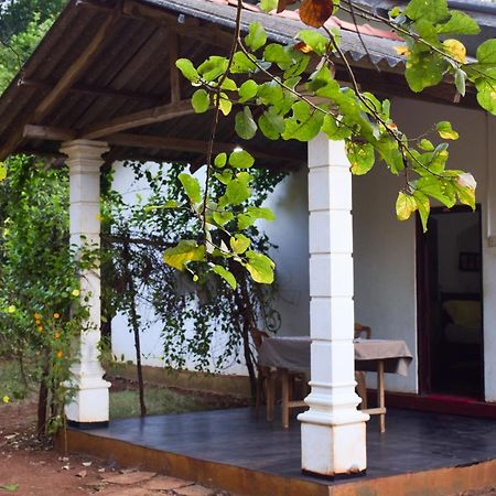 Senu Homestay 시기리야 외부 사진