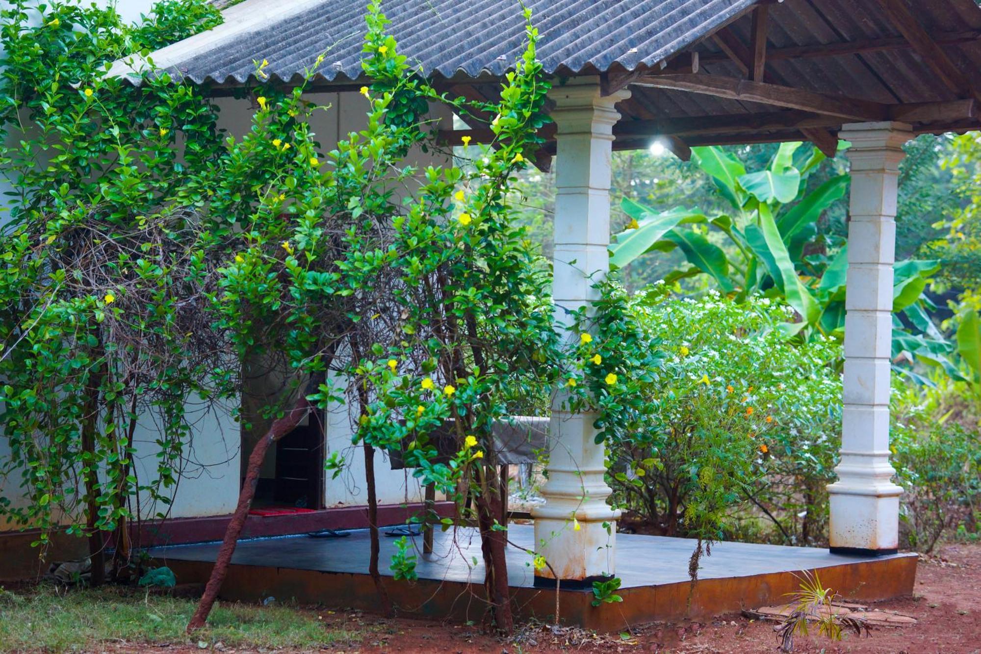 Senu Homestay 시기리야 외부 사진